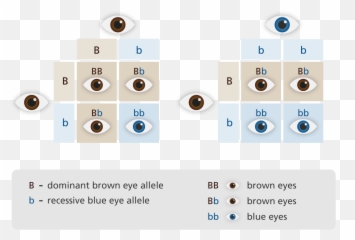 S03e09 A Voice In The Dark - Siren Primetimer Recessive Allele Emoji,Blue Eyed Emoji