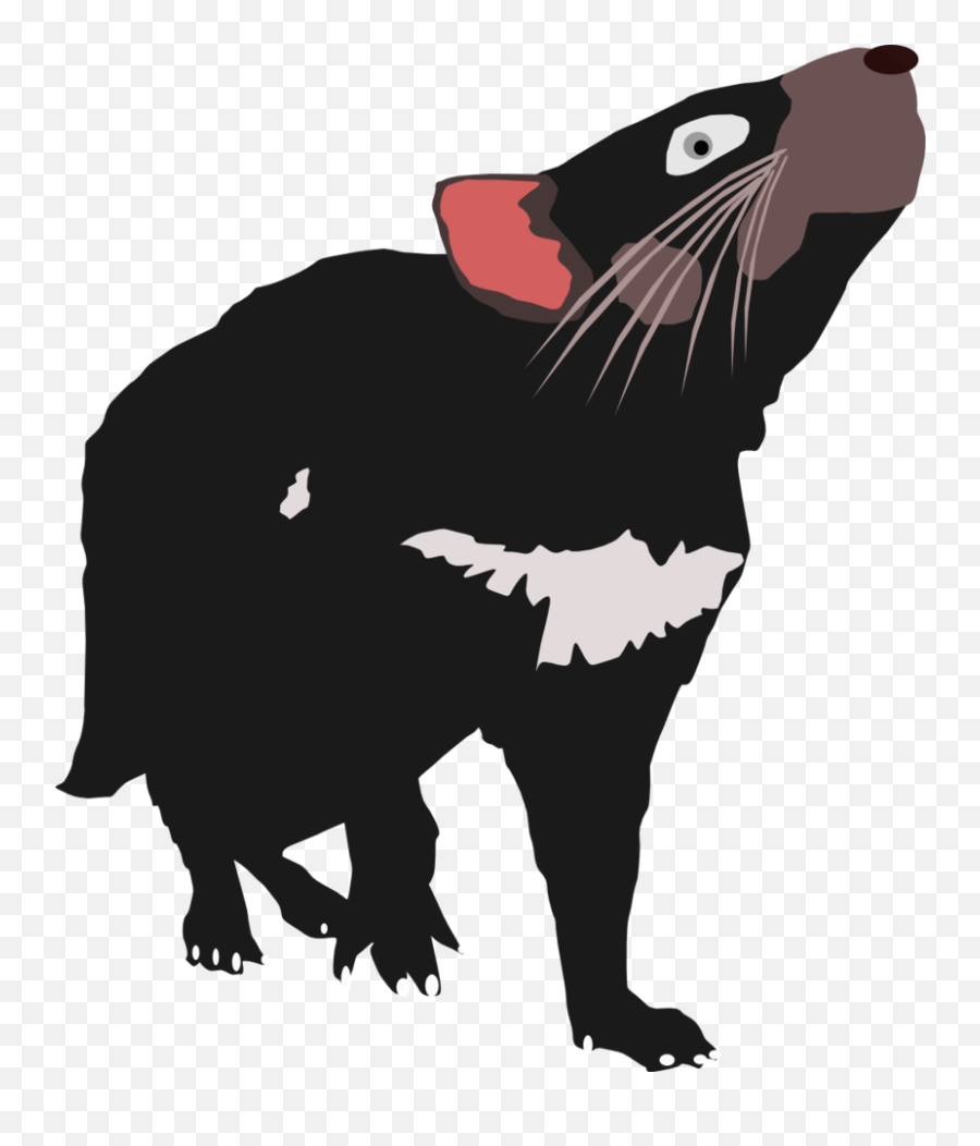 Demon Tail Png - Tasmanian Devil Animals Clipart Emoji,Duke Blue Devil Emoticon