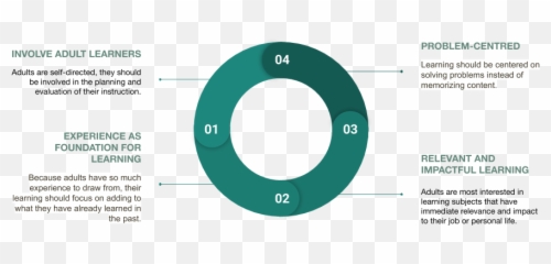 The Andragogy Secret How To Use Adult Learning Theory To - Adult Learning Theory And Principles Emoji,Summarize The Four Major Theories Of Emotion