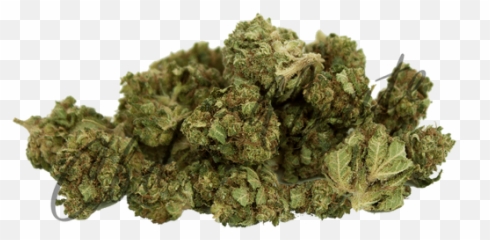 Huiles De Cbd - Bhgreenhousecom Language Emoji,Meridien Vessie Emotion