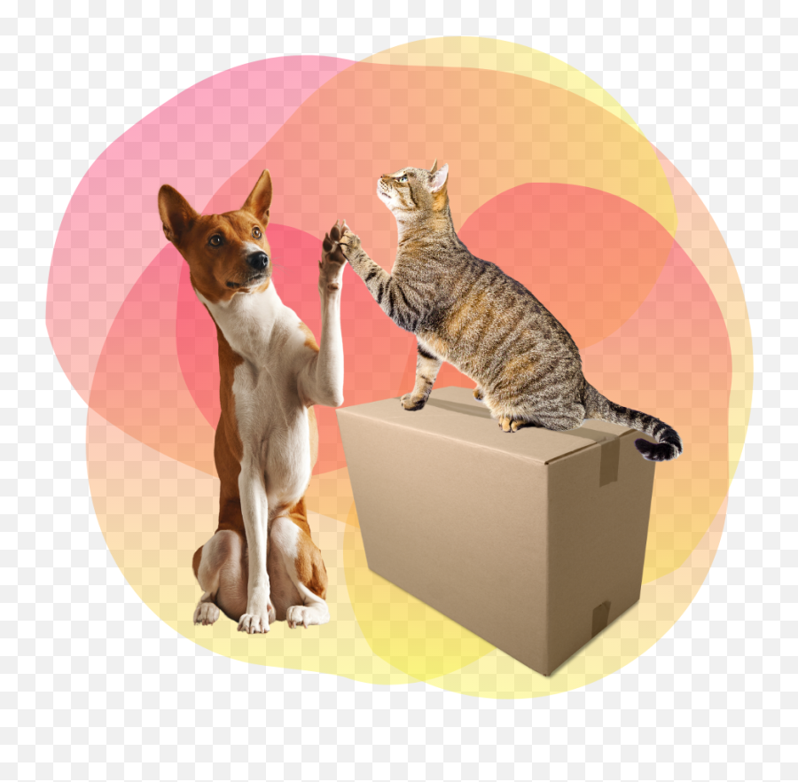 Team Building - Cardboard Box Emoji,Whip Emoji Copy And Paste