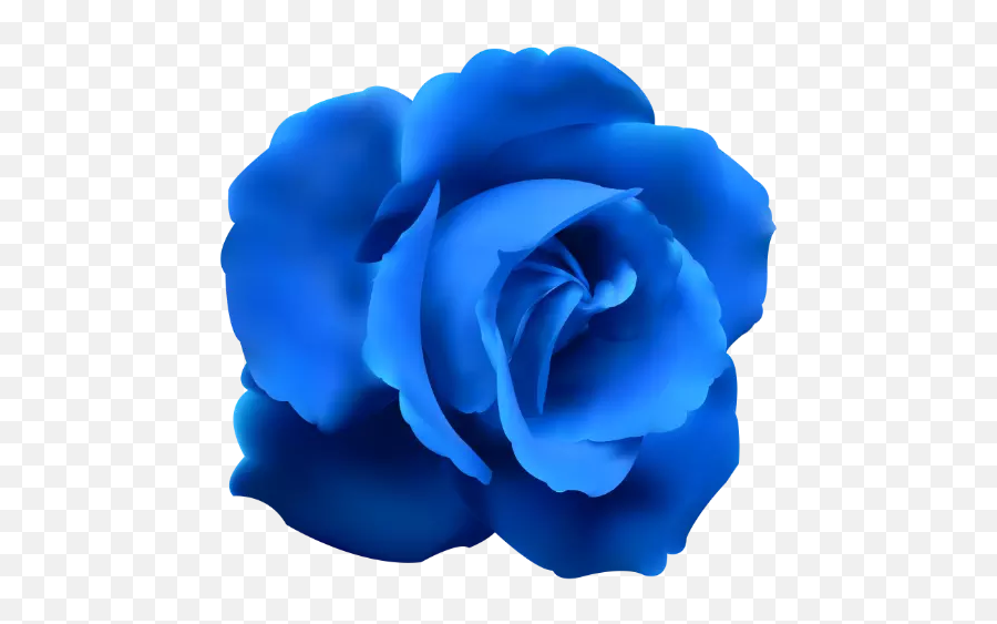 Blue Roses Stickers For Whatsapp And - Blue Flower On Transparent Background Emoji,Blue Rose Emoticon