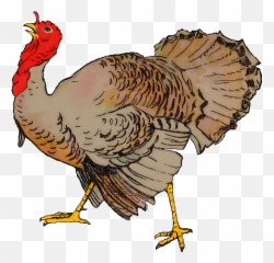 19 Beautiful Collection Of Turkey Cliparts Images Emoji,Turkey Emoji For Android