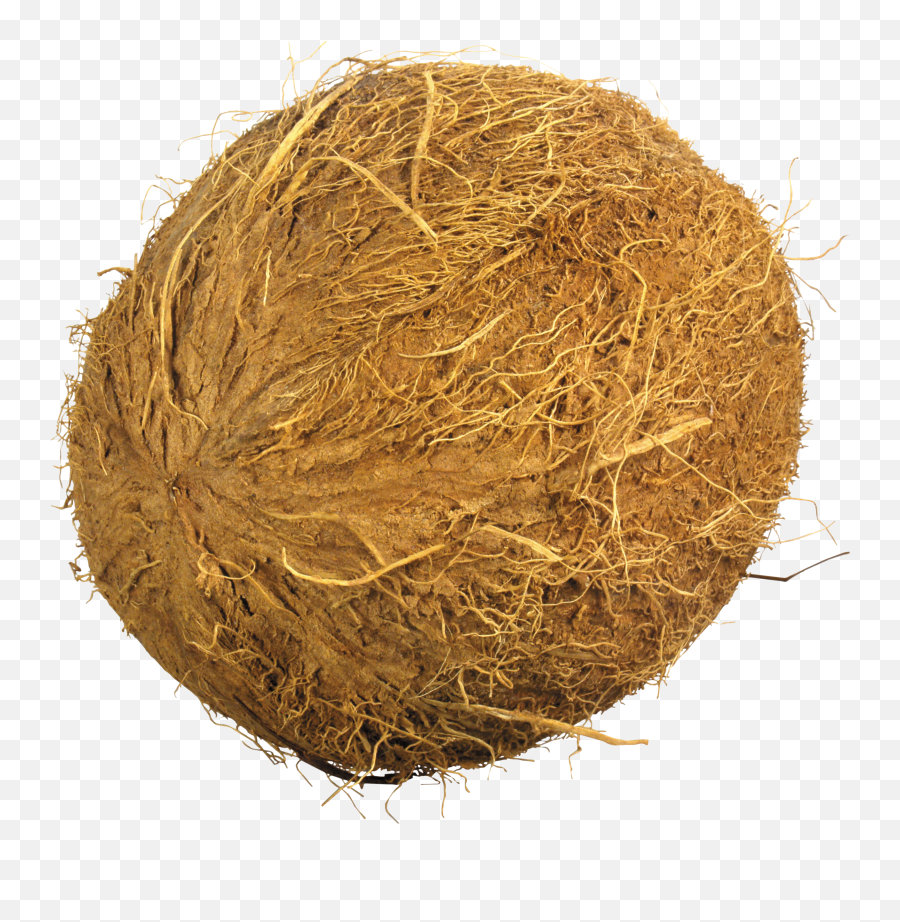 Cantaloupe Recipes - Straw Ball Png Emoji,Cantaloupe Emoji