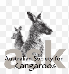 About Us Kangaroos Are Not Shoes Emoji,Kangaroo Emoticon For Facebook