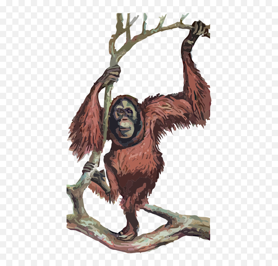 Openclipart - Clipping Culture Emoji,Orangutan Emoji