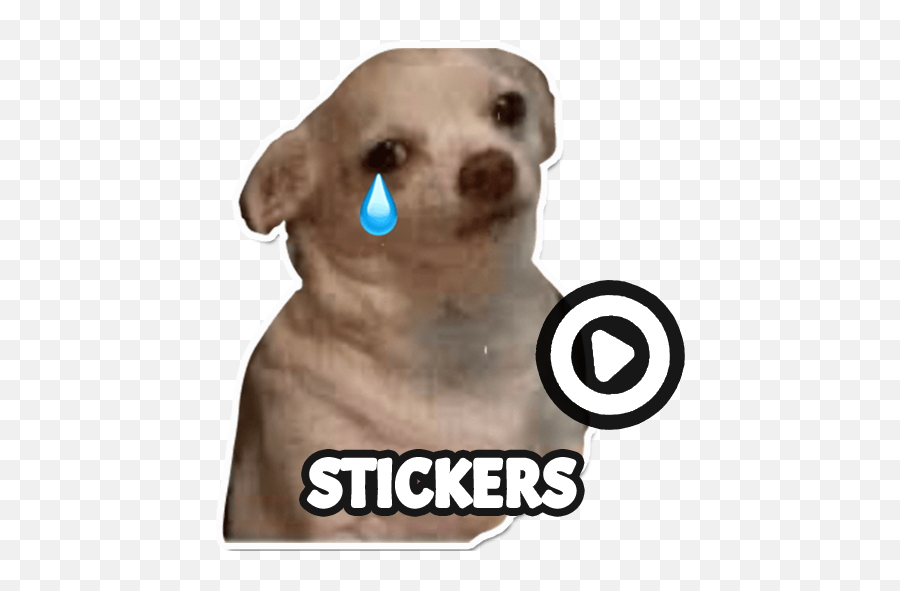 Dog Meme Sticker Wastickerapps - Apps On Google Play Emoji,Dog Text Emoji