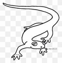 Salamander Free On Cartoon Leopard Gecko Drawings - Clip Art Salamander Clip Art Black And White Emoji,Salamander Emoji