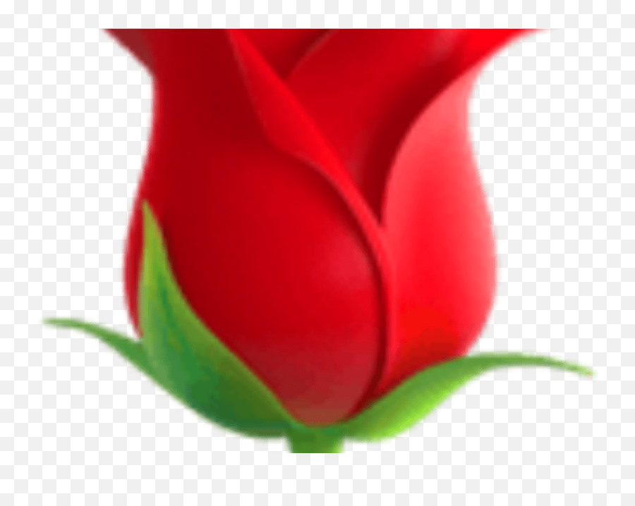 Flores Png Tumblr - Transparent Flower Emoji Flower Emoji Lovely,Cherry Blossom Emoticon