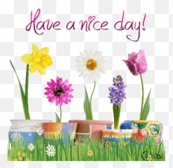 Have A Good Day Icons Page 1 - Line17qqcom Greetings Have A Nice Day Gif Emoji,Have A Great Day Emoticon