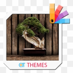 Bonsai Wood Xperia Theme 100 Android Apk - Com Dreamscapes Theme Emoji,Bonsai Emoji