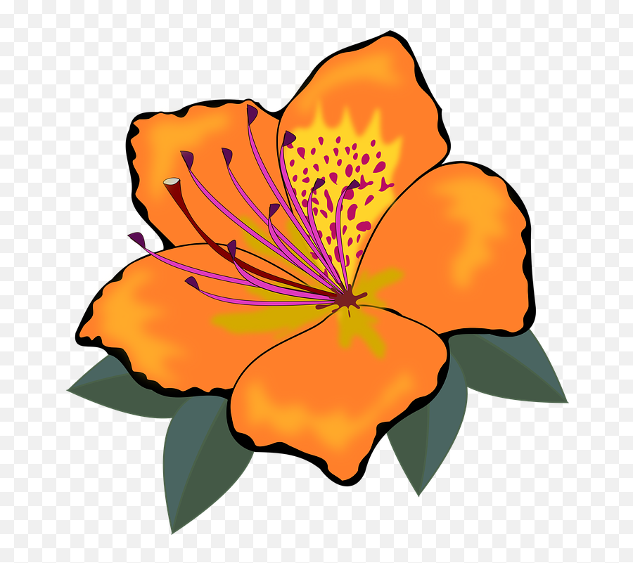 Free Photo Flower Flores Nature Plant Flor Clip Art Flora - Flores Art Emoji,Plant, Emotions, Clipart