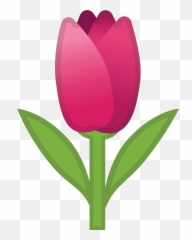 Noto Emoji Oreo 1f337 - Emoji,Spring Emoji