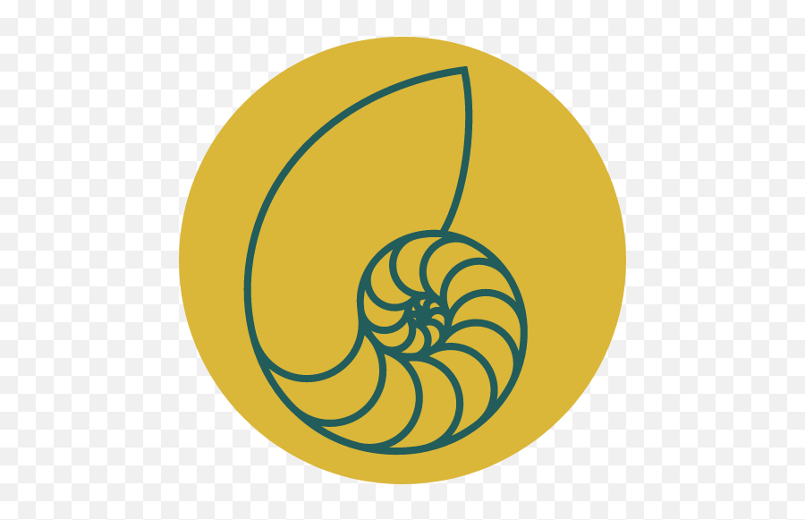 The Water Cycle - Spiral Nautilus Shell Vector Emoji,Molecules Of Emotion