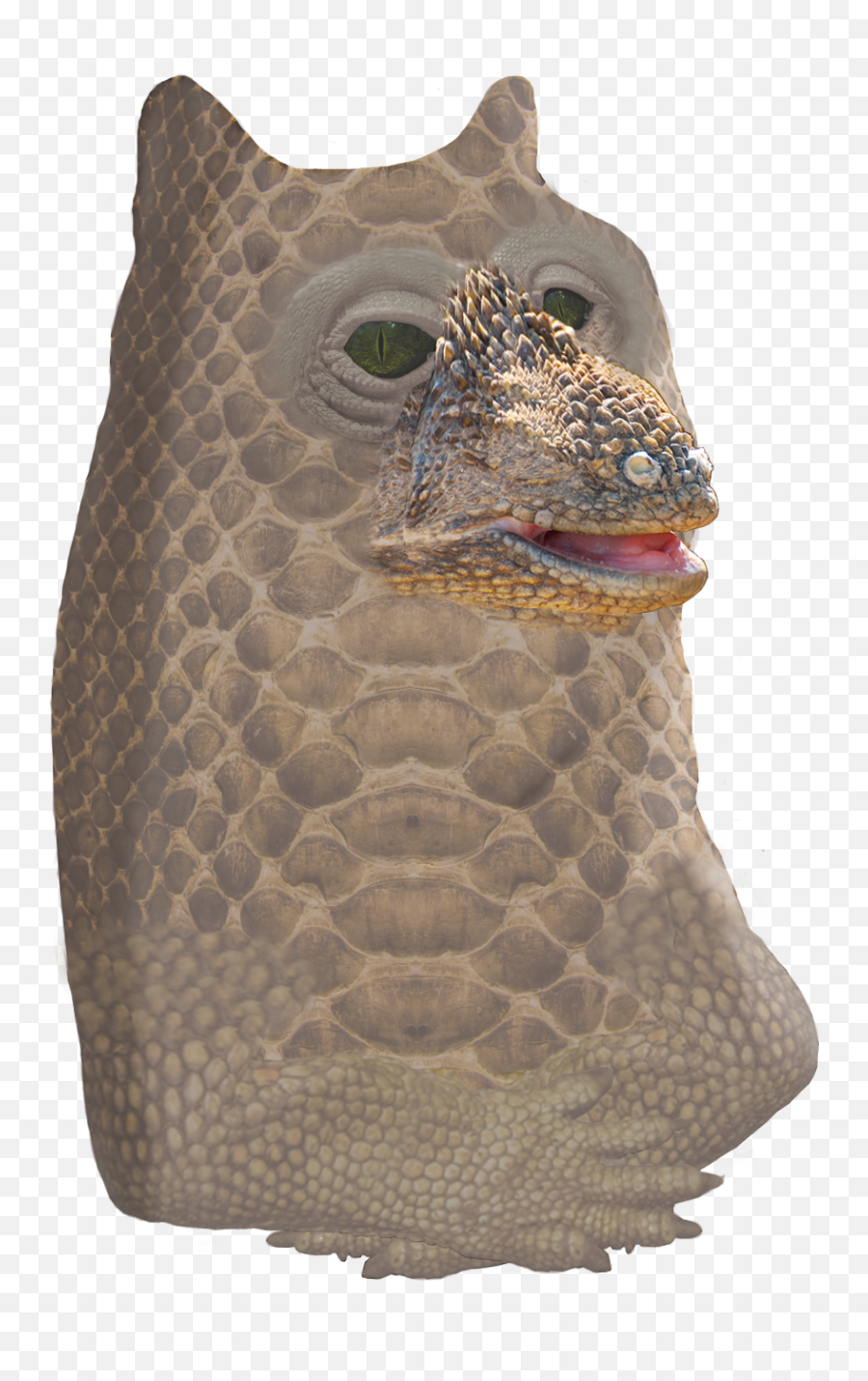 Le Secret Lizard Person Has Arrived Rdogelore Ironic Emoji,Loafing Emoticon