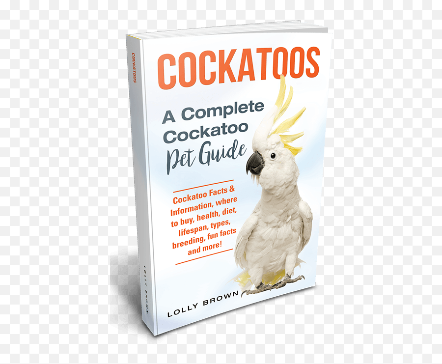 Caique Parrots Landing - Cockatoo Emoji,Cockatiel Emotions