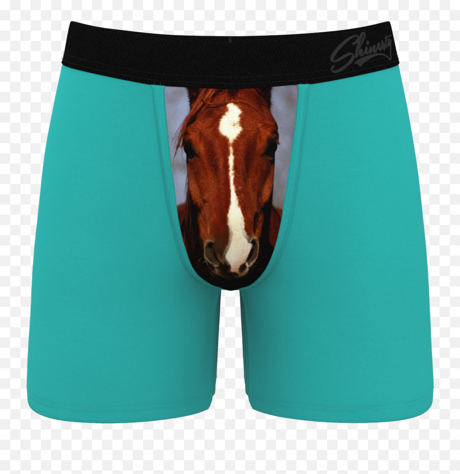 The Prized Pony Blue Horse Ball Hammock Pouch Underwear - For Men Emoji,Man And Horse Emoji