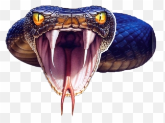 Black Mamba Emoji Png Free Image - Snake Eastern Green Mamba,Black Mamba Emoji