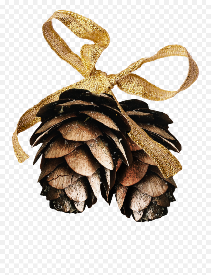 Pinecone Sticker - Decorative Emoji,Pine Cone Emoji