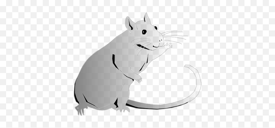 100 Free Rats U0026 Mouse Illustrations - Pixabay Cute Rat Cartoon Waving Emoji,Gerbil Tail Emotions