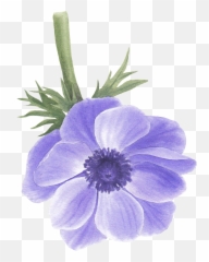 Creative Art Illustration Inspiration - Poppy Anemone Emoji,Bourdon L'expression Des Emotions