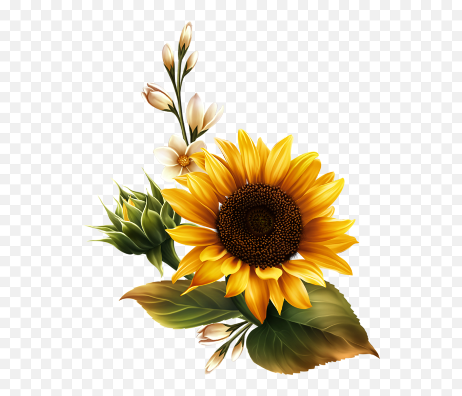 Ghost Girl Fanficslandia - Ffl Transparent Background Sunflower Png Emoji,Como Te Sientes Poster Emojis