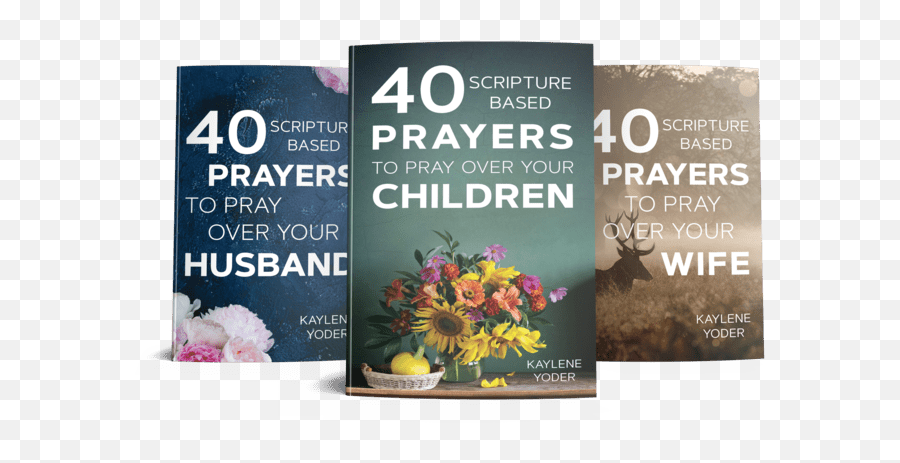 5 Powerful Books On Prayer For The Warrior Princess - A Work Emoji,Cool Emotion With Pray