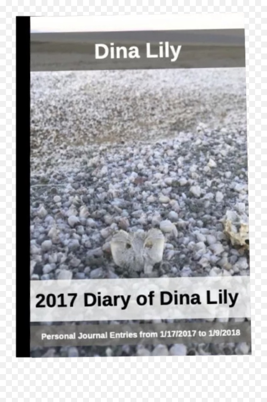 2017 Used Handwritten Journal Diary Of 21 - Yearold Dina Lily Emoji,Playing With My Emotions And Then I Just Ignore You Quotes