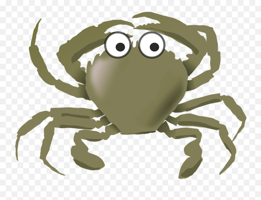 Httpswwwpicpngcomanimal - Armadilloarmorarmourpng Emoji,Crab Japanese Emoticon