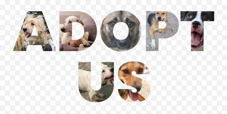 Loved At Last Dog Rescue Emoji,Dog Love Emoji