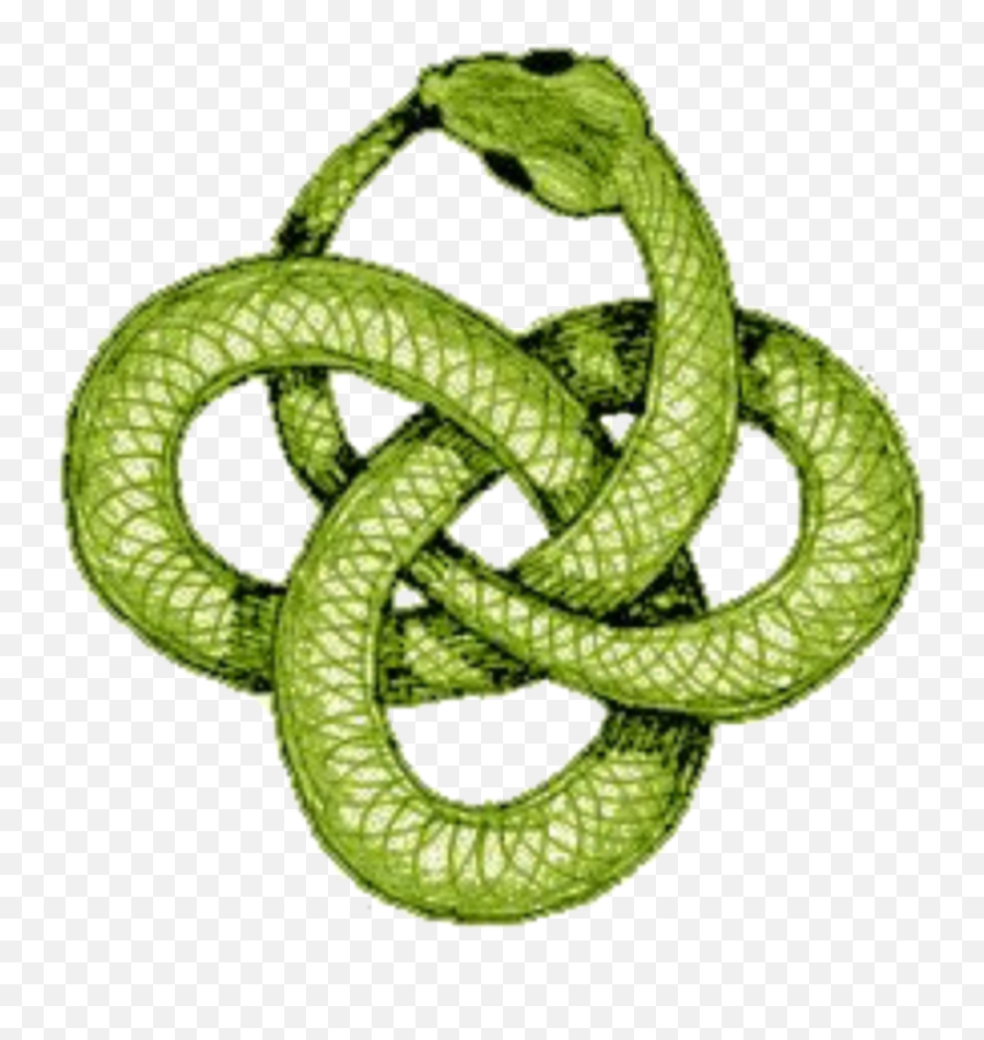 Mq Green Snake Snakes Reptile Sticker - Green Snake Tattoo Png Emoji,Snakes Emoji