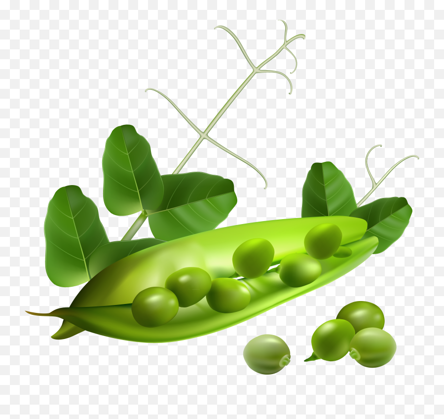 Free Clip Art - Peas Pod Png Emoji,Peas In A Pod Emoji