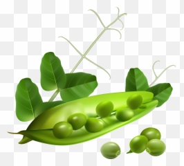 Free Clip Art - Peas Pod Png Emoji,Peas In A Pod Emoji