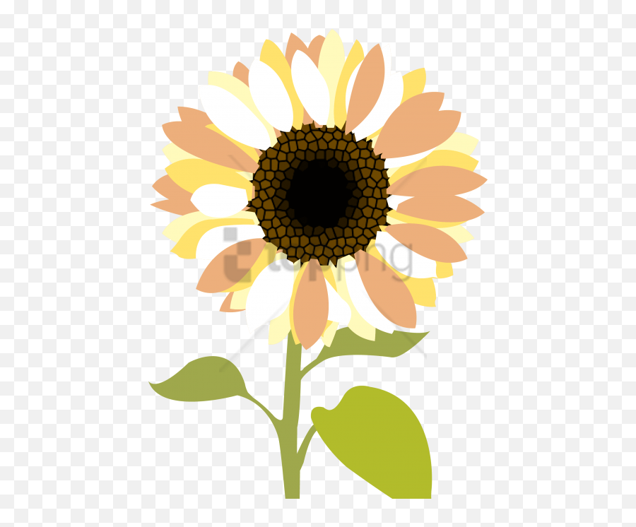 Download Free Png Sunflower Clipart Png - Clipart Transparent Sunflowers Png Emoji,Mercy Emoji