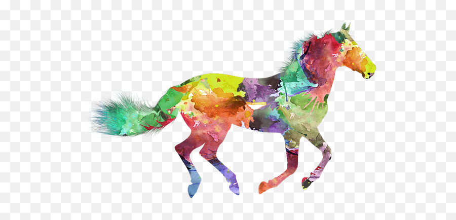 Free Photo Coat Color Horse Horses Equine Coat Colors - Max Colorful Horse Emoji,Cartoon Horse Faces Emotion
