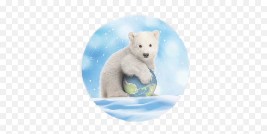 Polar Bear Sticker Challenge On Picsart - Polar Bear Cub Sitting Emoji,Polar Bear Emojis
