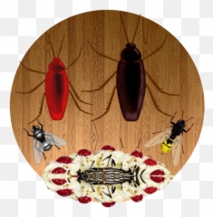 Bug Smash Kill Apk Download - Parasitism Emoji,Dirty Honeybee Emojis