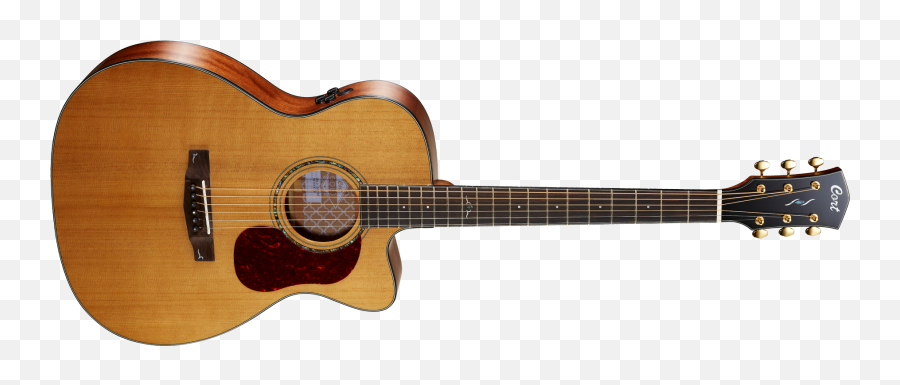 Cort Gold - Cort Guitar Gold Oc6 Emoji,Guitars Display Emotion