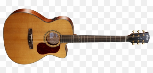 Cort Gold - Cort Guitar Gold Oc6 Emoji,Guitars Display Emotion