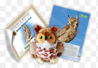 Earth Rangers - Picture Frame Emoji,Owl Emotions Sort