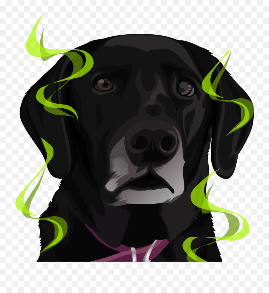 Magmojis - Dog Emoji,Emotions Of A Dog