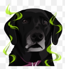 Magmojis - Dog Emoji,Emotions Of A Dog