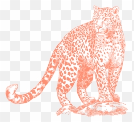Eq Investors Is Going Full Impact - Citywire Emoji,Handicap Leopard Emotion Garter