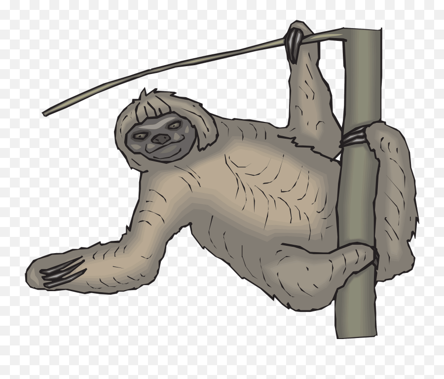 Sloth Hanging From Tree Clipart Free Download Transparent Emoji,Emojis Animated Sloth