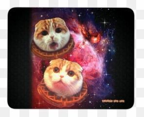 Products U2013 Tagged Mouse Pad U2013 Waffles The Cat Emoji,Fat Cute Cat Emoji