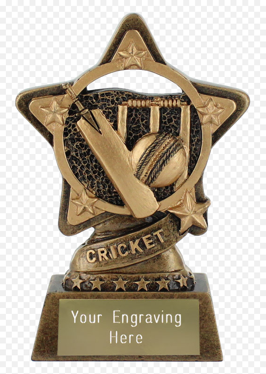 Cricket Trophy By Infinity Stars 10cm 4 Emoji,Cricket Emoji Dance