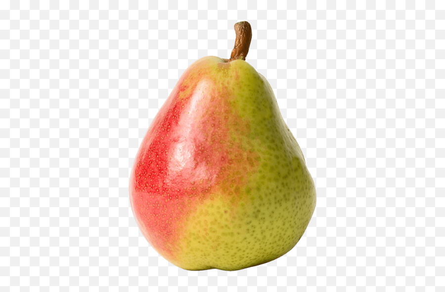 Download Free Png Pear Emoji Vector Icon Ai Eps Svg Png - Pear Png,Pear Emoji