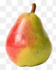 Download Free Png Pear Emoji Vector Icon Ai Eps Svg Png - Pear Png,Pear Emoji