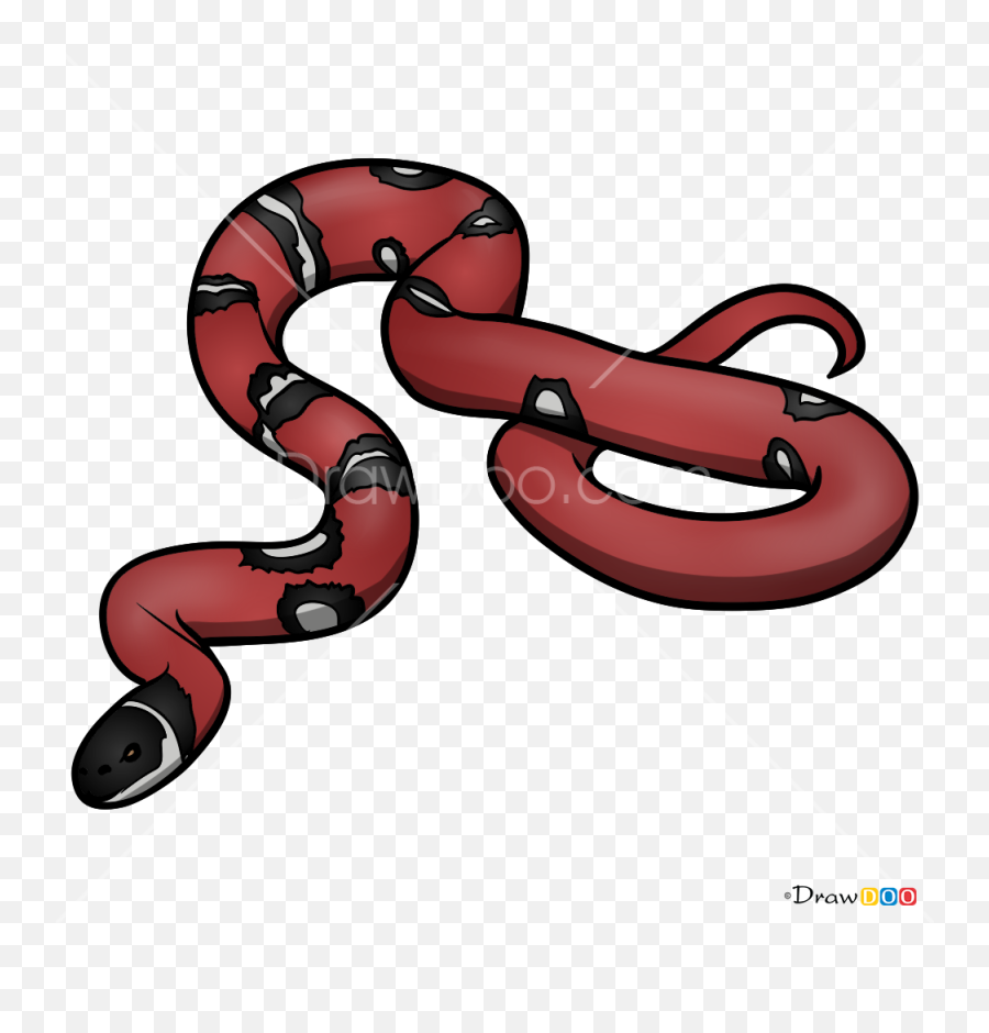 How To Draw Realistic Snake Snakes - Draw A Realistic Snakes Emoji,Snakes Emoji