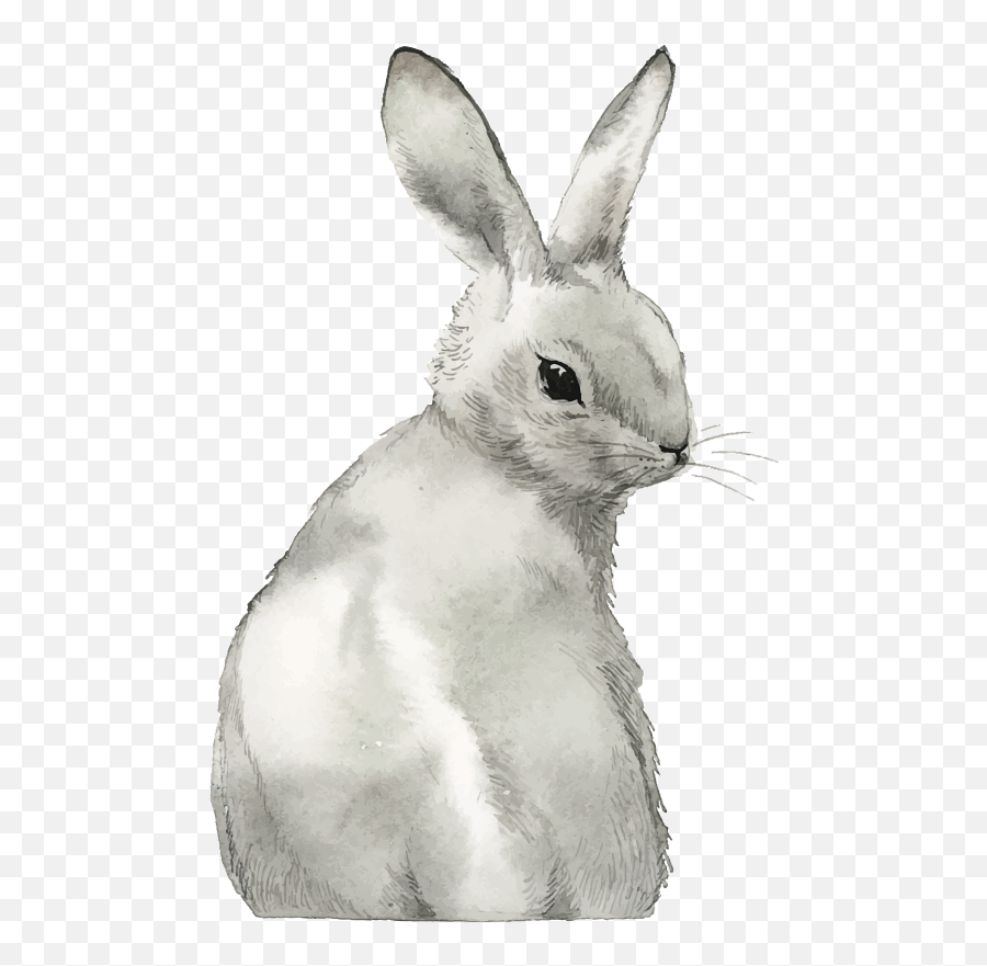 Rabbit Bunny Farm Animal Sticker - Tavan Çizimi Emoji,Snowshoe Emoji